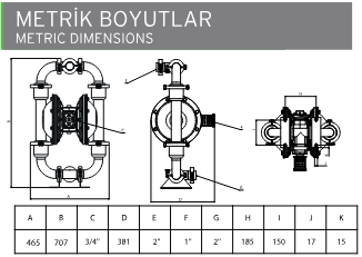 AP 20 Hijyenik Diyaframlı Pompa