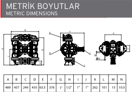 AP 13 Plastik Diyaframlı Pompa